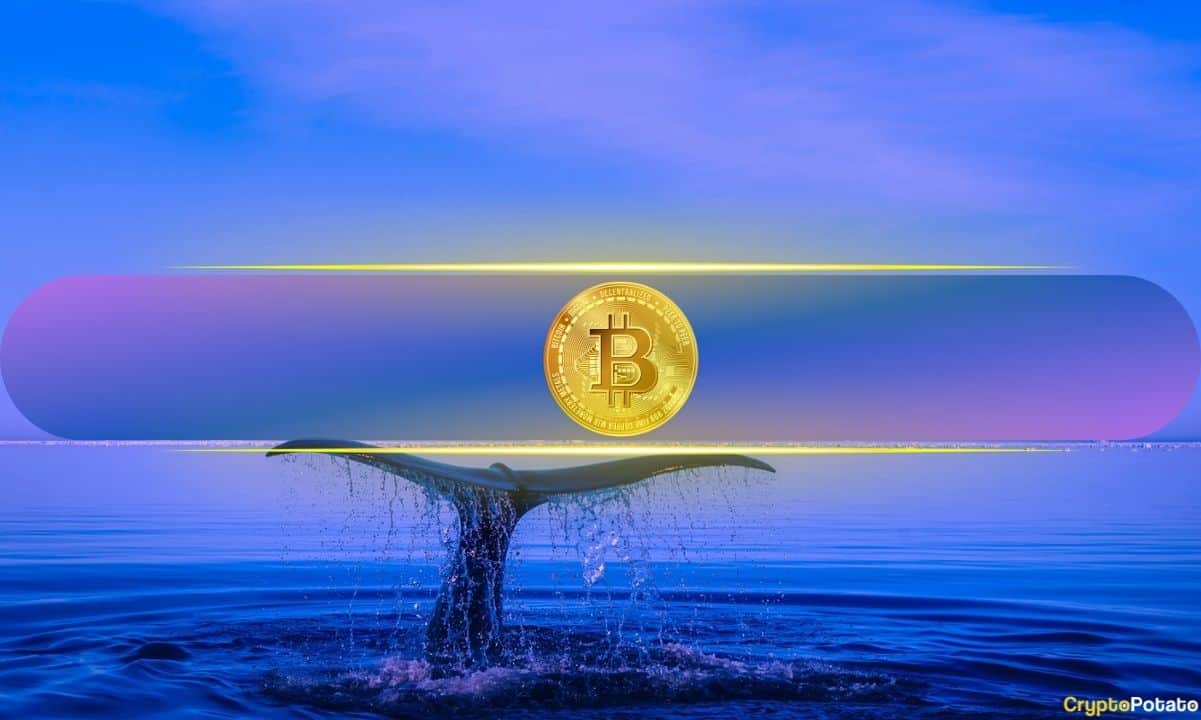 Crypto Whale Wynn Quits After Scoring $25M from $1.25B Bitcoin Bet